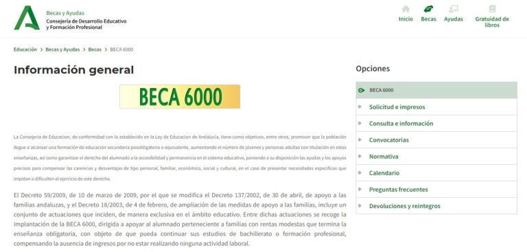 Beca 6000 2024-2025: Pasaporte a la Educación en Andalucía 2 ¿Qué es la Beca 6000?