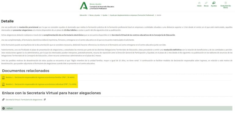 Alegación de la Beca 6000: Cómo Solicitar una Revisión de tu Caso 3 Documentación Relevante y Declaración Responsable de Ingresos